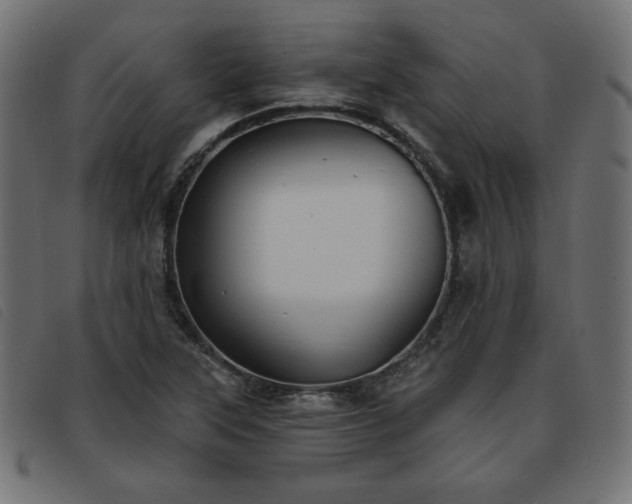 X0000093761315200710161215