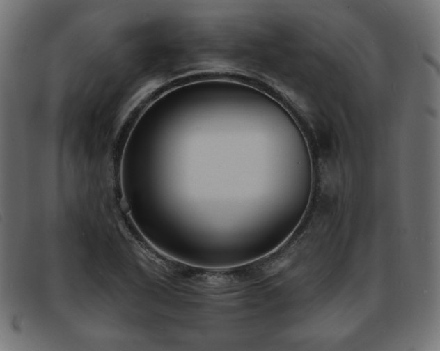 X0000093761318200710161215