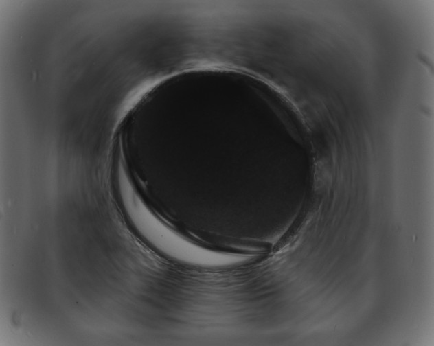 X0000093761319200710161215