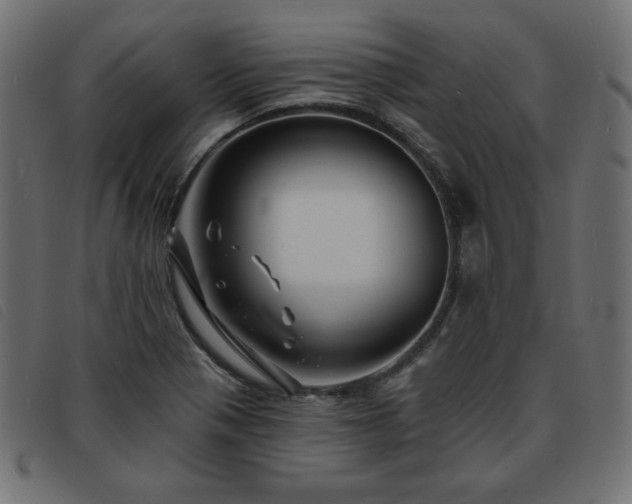 X0000093761321200710161215