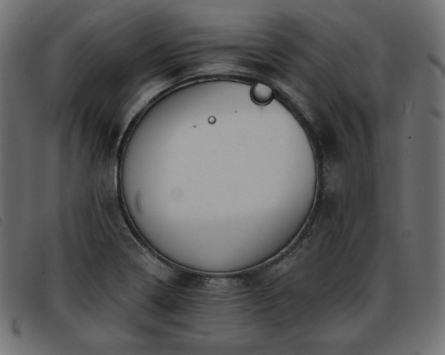 X0000093761322200710161215