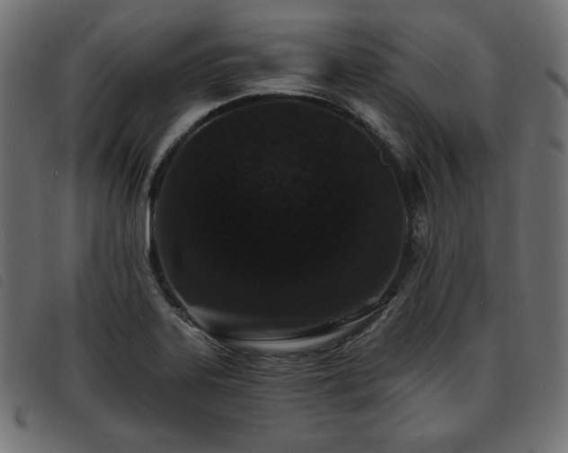 X0000093761323200710161216