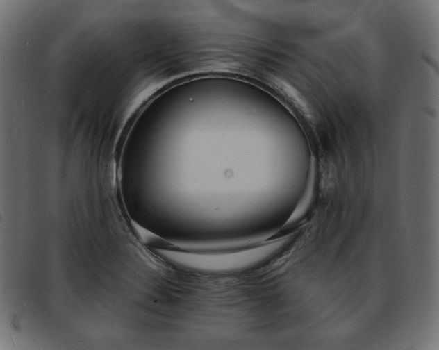 X0000093761324200710161216