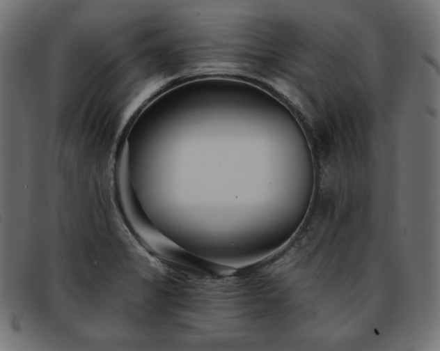 X0000093761325200710161216