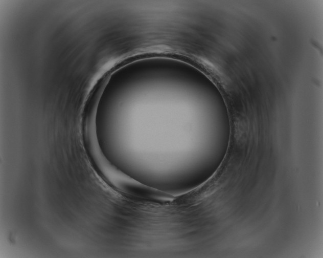 X0000093761326200710161216