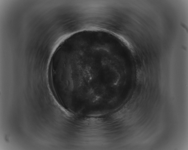 X0000093761327200710161216
