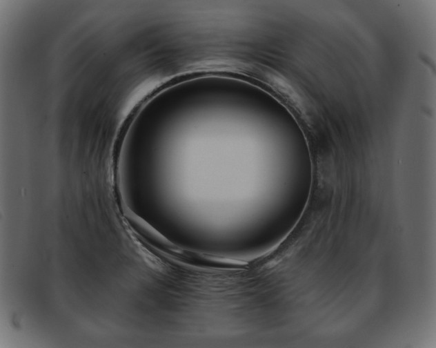 X0000093761328200710161216