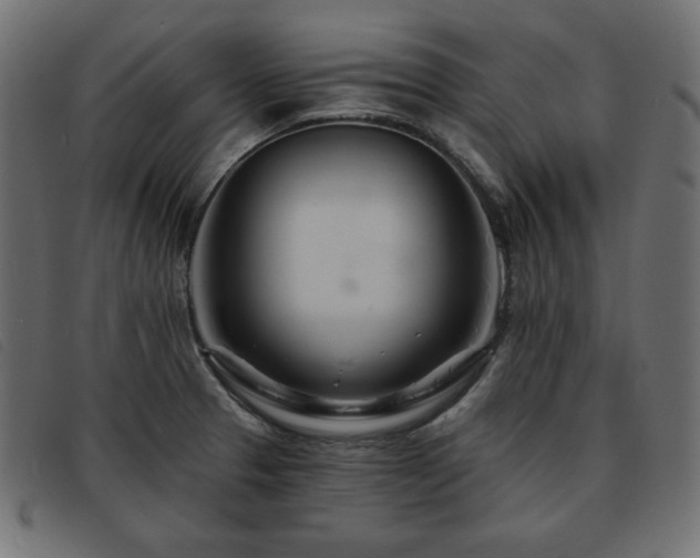 X0000093761329200710161216