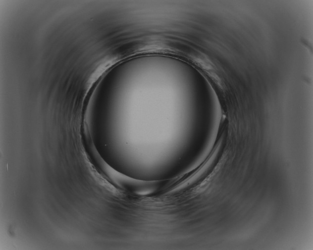 X0000093761330200710161216