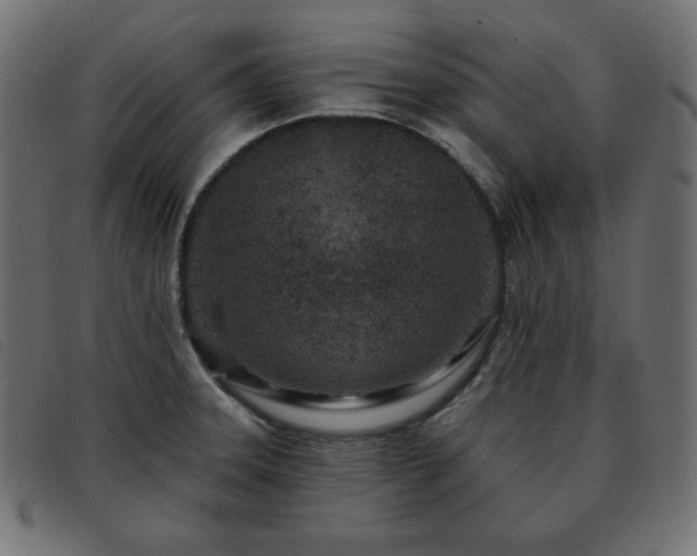 X0000093761331200710161216