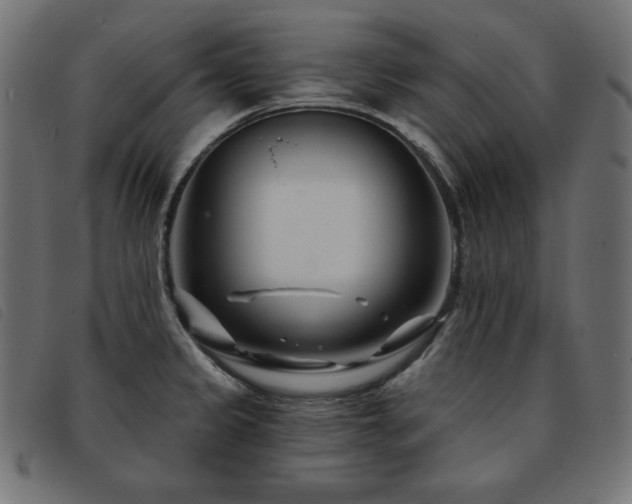 X0000093761333200710161216