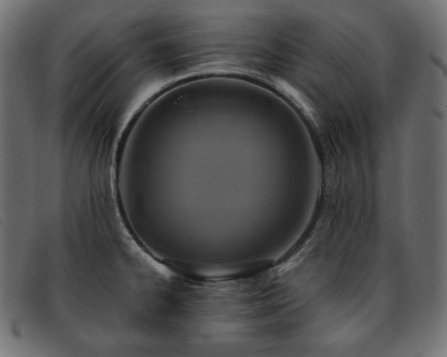 X0000093761334200710161216