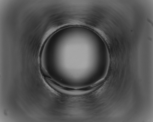 X0000093761335200710161216