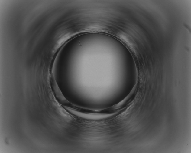 X0000093761336200710161216