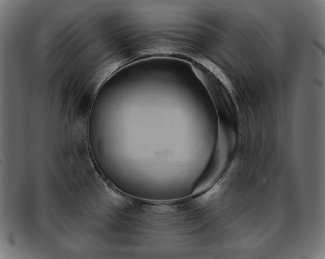 X0000093761337200710161216