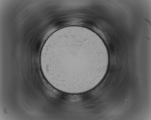 X0000093761338200710161216