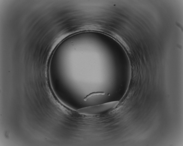 X0000093761339200710161216