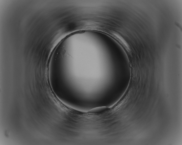 X0000093761340200710161216