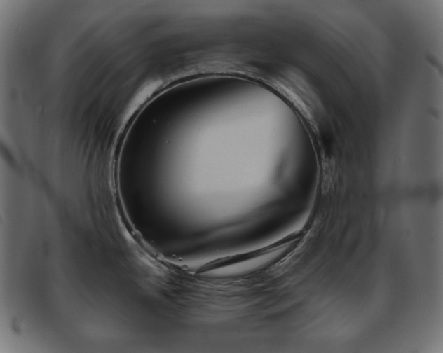 X0000093761342200710161216