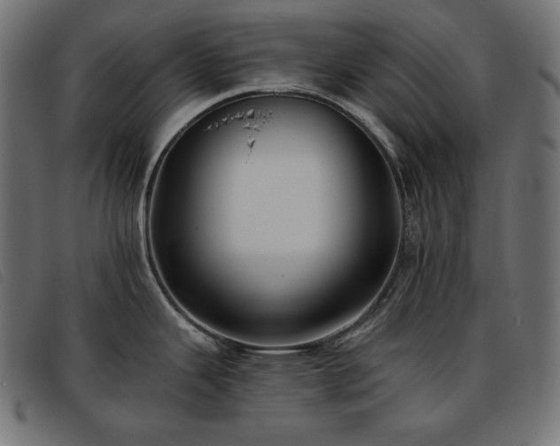 X0000093761343200710161216