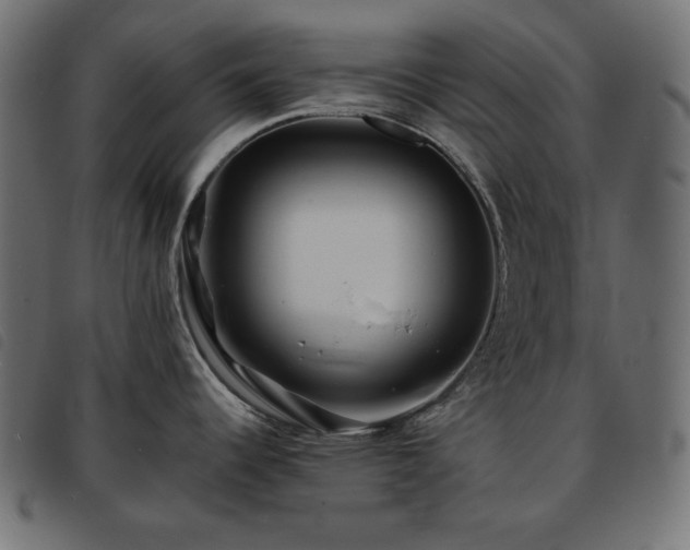 X0000093761344200710161216