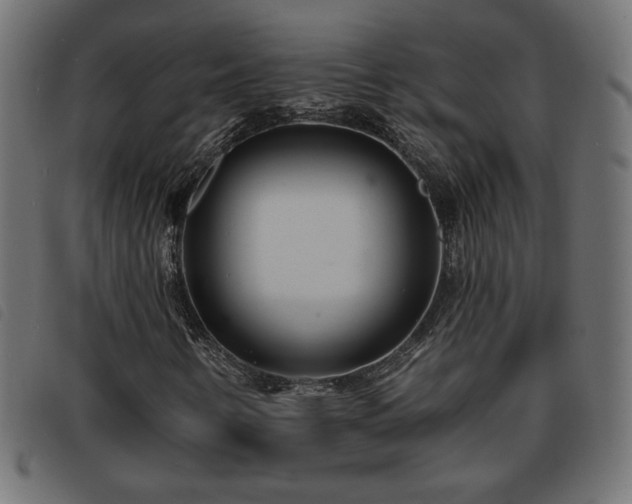 X0000093761346200710161215