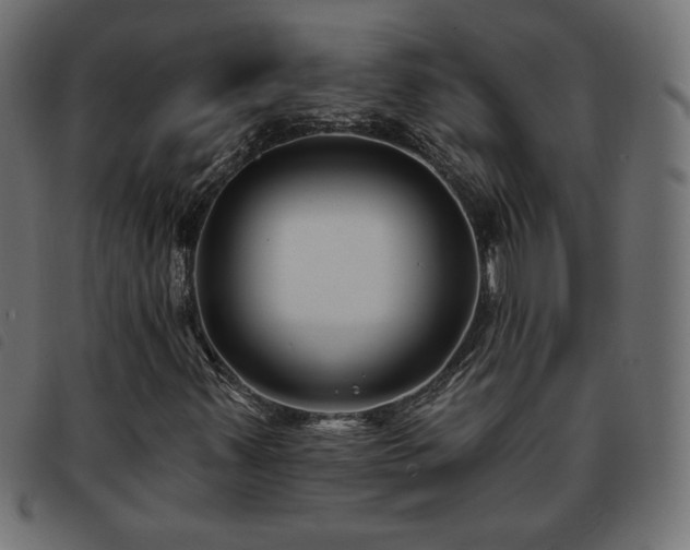 X0000093761347200710161215