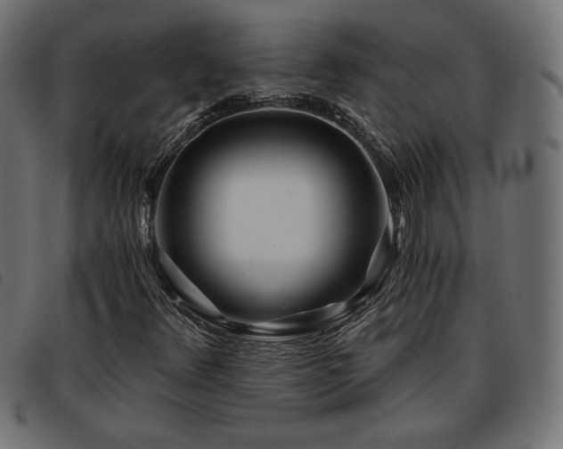 X0000093761348200710161215