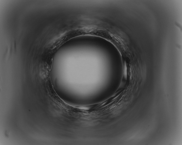 X0000093761349200710161215