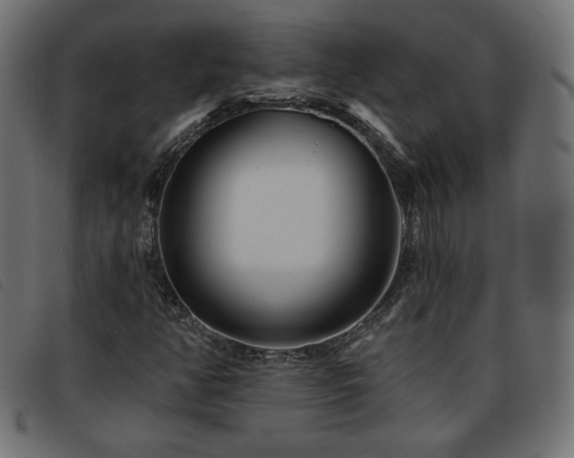 X0000093761350200710161215