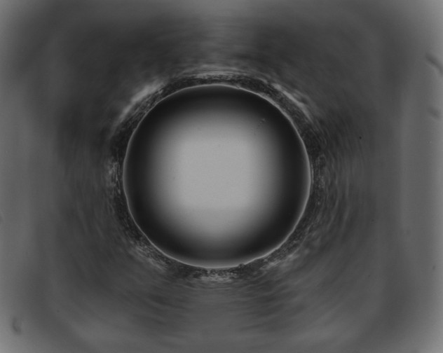 X0000093761351200710161215