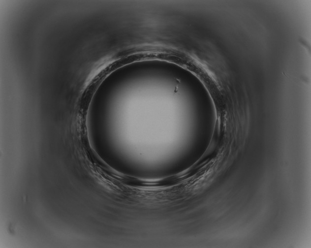 X0000093761352200710161215