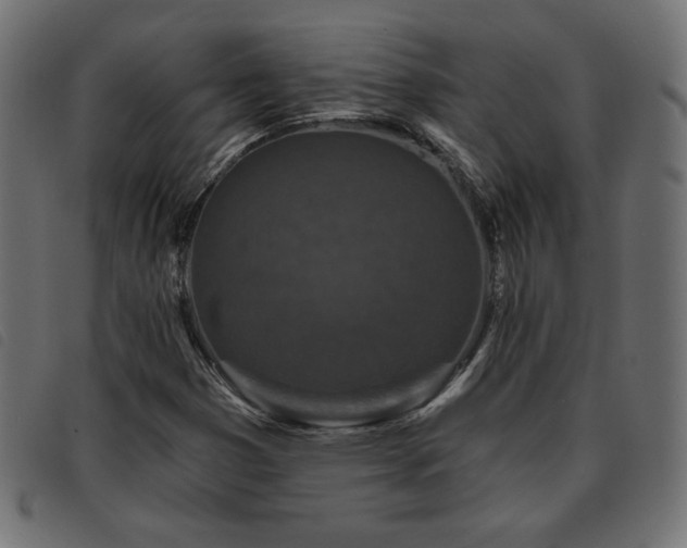 X0000093761353200710161215