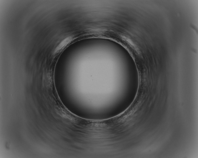 X0000093761354200710161215