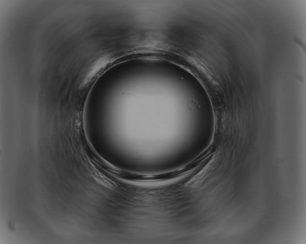X0000093761355200710161215