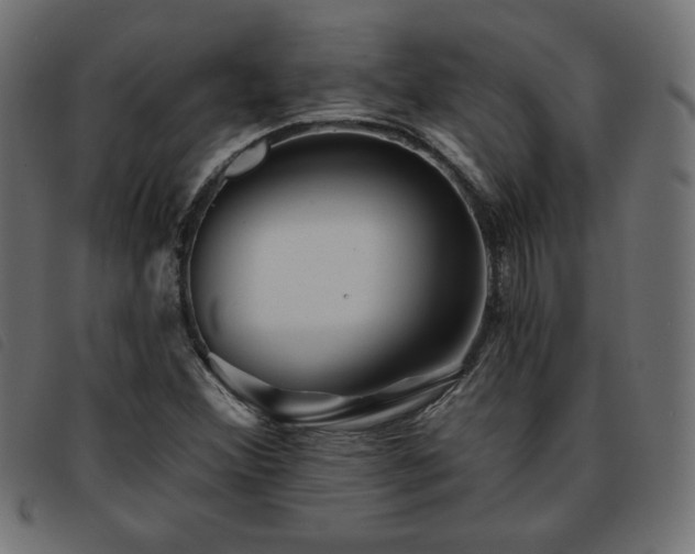X0000093761356200710161215