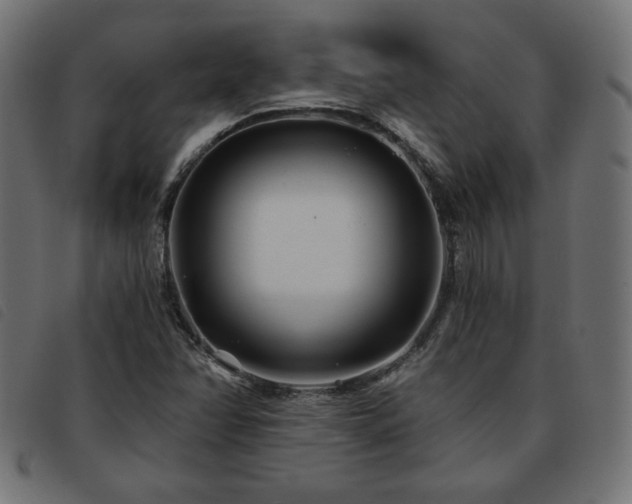 X0000093761358200710161215