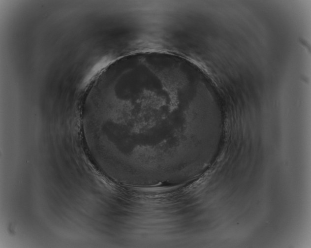 X0000093761359200710161215