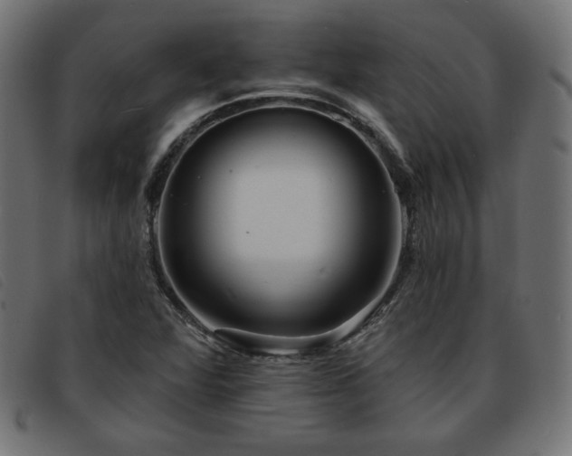 X0000093761360200710161215