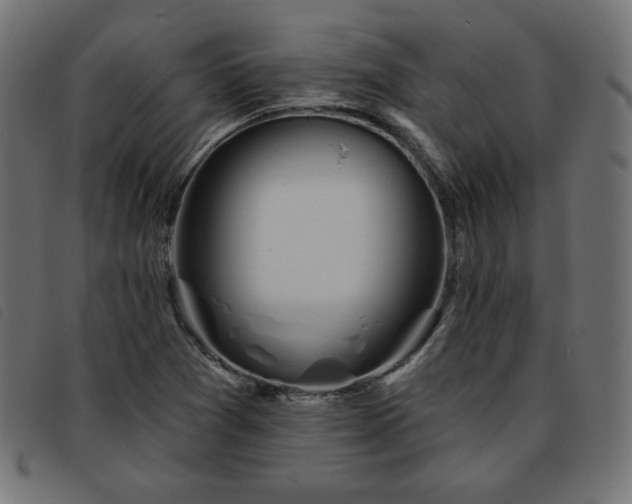 X0000093761361200710161215