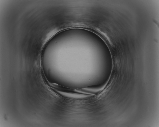 X0000093761365200710161215