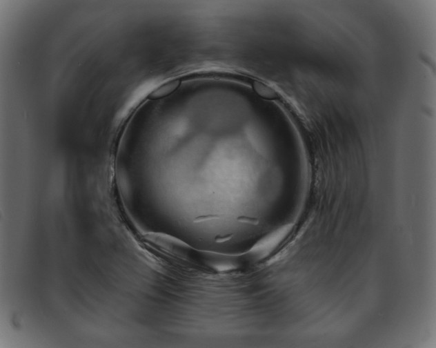 X0000093761367200710161215