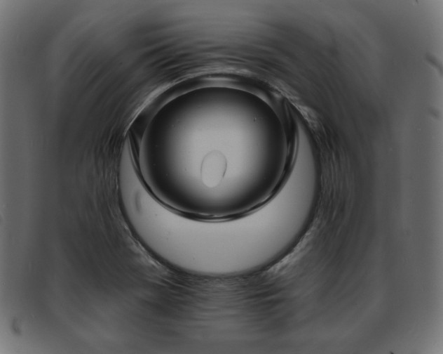 X0000093761369200710161215
