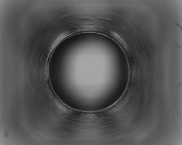 X0000093761370200710161215