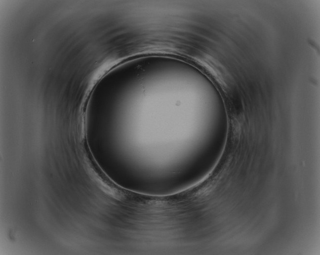X0000093761371200710161215