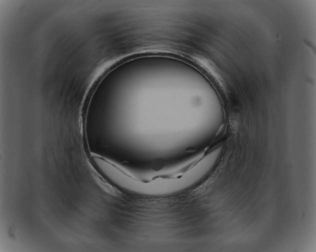 X0000093761372200710161215