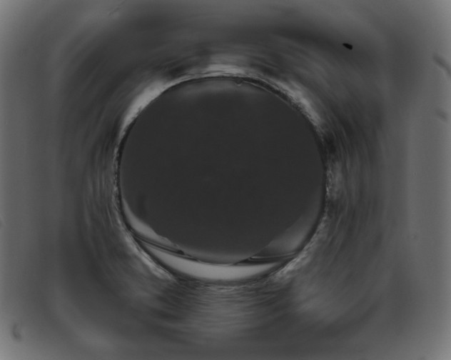X0000093761373200710161215
