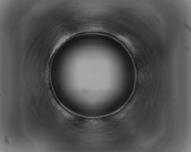X0000093761374200710161215