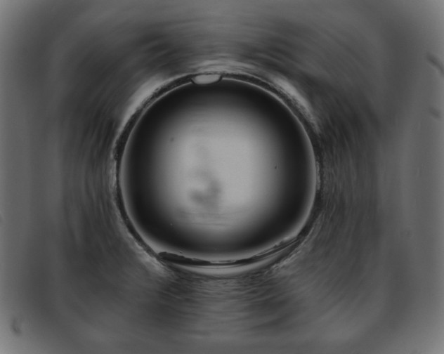 X0000093761376200710161215
