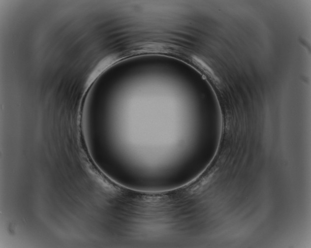 X0000093761378200710161215